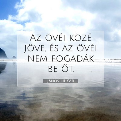 Picture 07 - János 1:11 KAR - Az övéi közé jöve, és az övéi nem - Bible Verse Picture