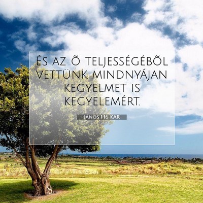 Picture 07 - János 1:16 KAR - És az õ teljességébõl vettünk mindnyájan - Bible Verse Picture