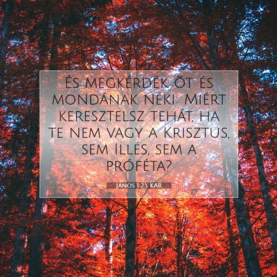 Picture 07 - János 1:25 KAR - És megkérdék õt és mondának néki: Miért - Bible Verse Picture