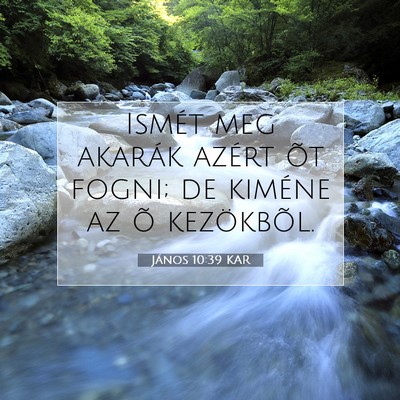 Picture 07 - János 10:39 KAR - Ismét meg akarák azért õt fogni; de kiméne - Bible Verse Picture