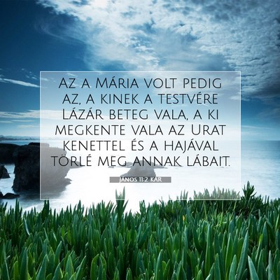 Picture 07 - János 11:2 KAR - Az a Mária volt pedig az, a kinek a testvére - Bible Verse Picture