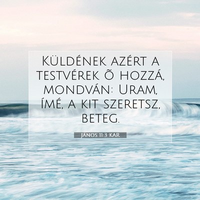 Picture 07 - János 11:3 KAR - Küldének azért a testvérek õ hozzá, - Bible Verse Picture