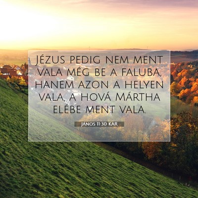Picture 07 - János 11:30 KAR - Jézus pedig nem ment vala még be a faluba, - Bible Verse Picture