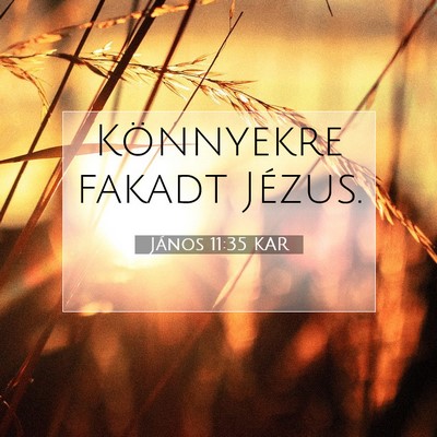 Picture 07 - János 11:35 KAR - Könnyekre fakadt - Bible Verse Picture