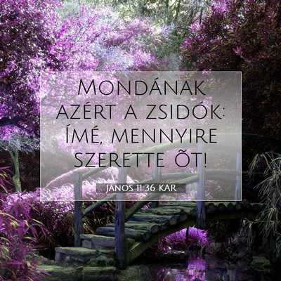 Picture 07 - János 11:36 KAR - Mondának azért a zsidók: Ímé, mennyire - Bible Verse Picture