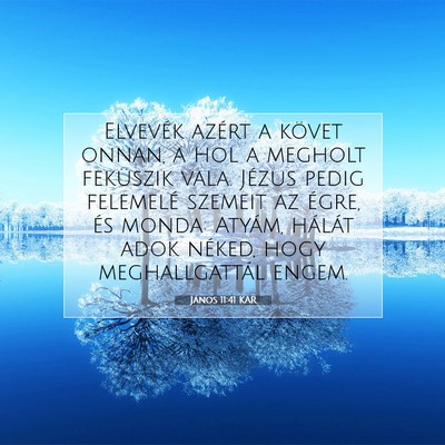 Picture 07 - János 11:41 KAR - Elvevék azért a követ onnan, a hol a megholt - Bible Verse Picture