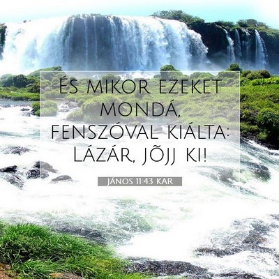 Picture 07 - János 11:43 KAR - És mikor ezeket mondá, fenszóval kiálta: - Bible Verse Picture