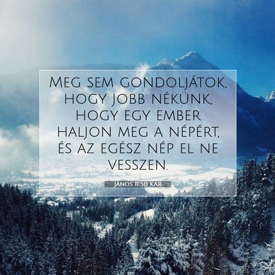 Picture 07 - János 11:50 KAR - Meg sem gondoljátok, hogy jobb nékünk, hogy - Bible Verse Picture