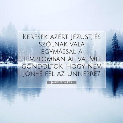 Picture 07 - János 11:56 KAR - Keresék azért Jézust, és szólnak vala - Bible Verse Picture