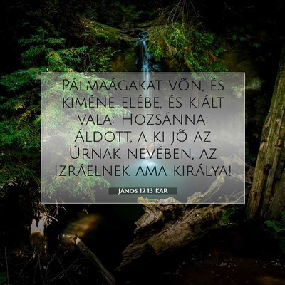 Picture 07 - János 12:13 KAR - Pálmaágakat võn, és kiméne elébe, és - Bible Verse Picture