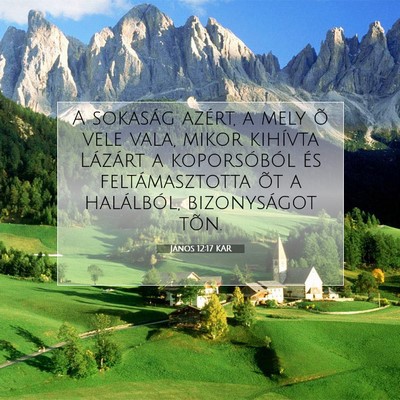 Picture 07 - János 12:17 KAR - A sokaság azért, a mely õ vele vala, mikor - Bible Verse Picture