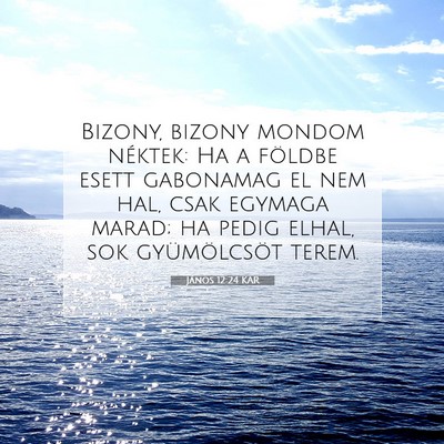 Picture 07 - János 12:24 KAR - Bizony, bizony mondom néktek: Ha a földbe esett - Bible Verse Picture