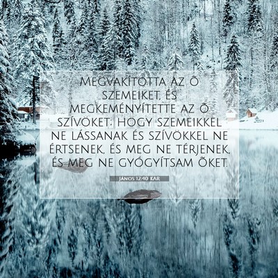 Picture 07 - János 12:40 KAR - Megvakította az õ szemeiket, és - Bible Verse Picture