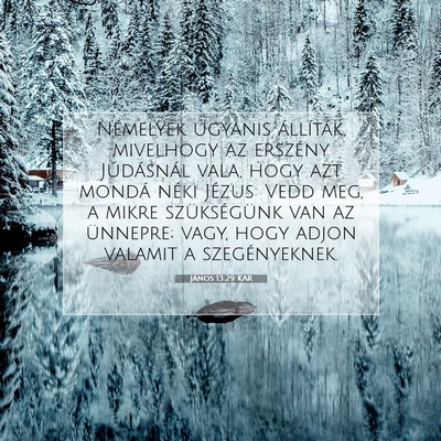 Picture 07 - János 13:29 KAR - Némelyek ugyanis állíták, mivelhogy az - Bible Verse Picture