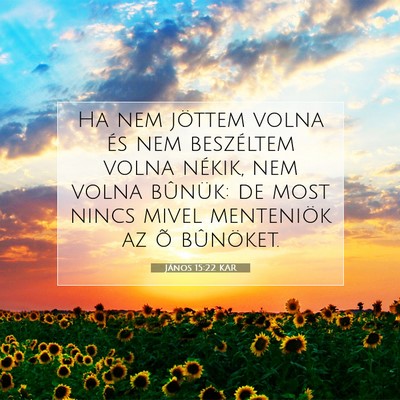 Picture 07 - János 15:22 KAR - Ha nem jöttem volna és nem beszéltem volna - Bible Verse Picture