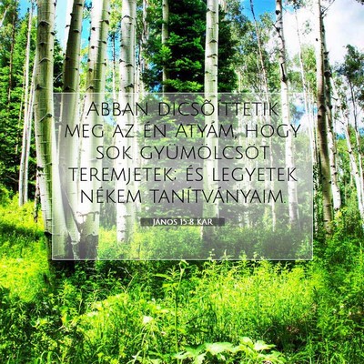 Picture 07 - János 15:8 KAR - Abban dicsõíttetik meg az én Atyám, hogy sok - Bible Verse Picture