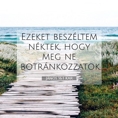 Picture 07 - János 16:1 KAR - Ezeket beszéltem néktek, hogy meg ne - Bible Verse Picture