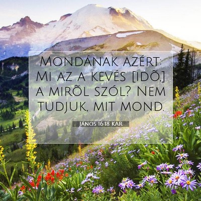 Picture 07 - János 16:18 KAR - Mondának azért: Mi az a kevés [idõ,] a mirõl - Bible Verse Picture