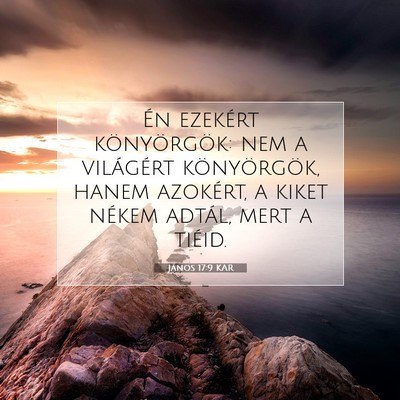 Picture 07 - János 17:9 KAR - Én ezekért könyörgök: nem a világért - Bible Verse Picture