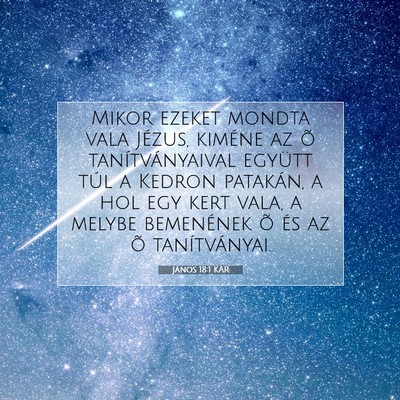 Picture 07 - János 18:1 KAR - Mikor ezeket mondta vala Jézus, kiméne az õ - Bible Verse Picture