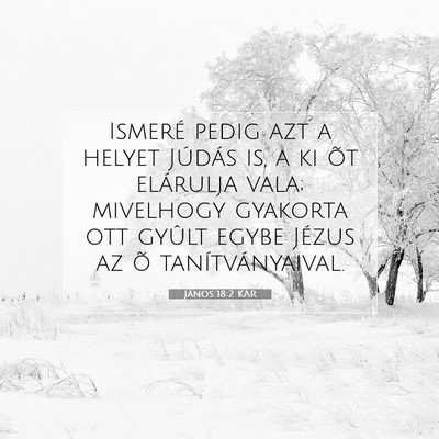 Picture 07 - János 18:2 KAR - Ismeré pedig azt a helyet Júdás is, a ki õt - Bible Verse Picture