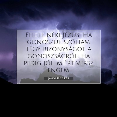Picture 07 - János 18:23 KAR - Felele néki Jézus: Ha gonoszul szóltam, tégy - Bible Verse Picture