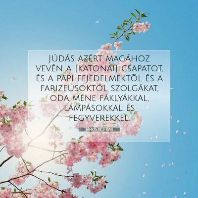 Picture 07 - János 18:3 KAR - Júdás azért magához vevén a [katonai] - Bible Verse Picture