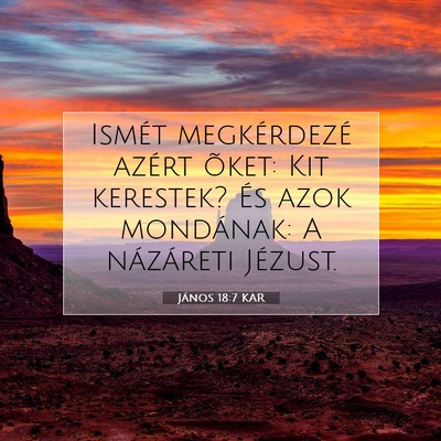 Picture 07 - János 18:7 KAR - Ismét megkérdezé azért õket: Kit kerestek? - Bible Verse Picture