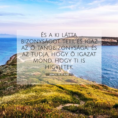 Picture 07 - János 19:35 KAR - És a ki látta, bizonyságot tett, és igaz az - Bible Verse Picture