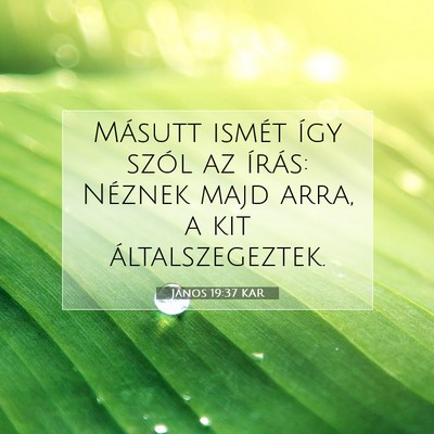 Picture 07 - János 19:37 KAR - Másutt ismét így szól az írás: Néznek majd - Bible Verse Picture