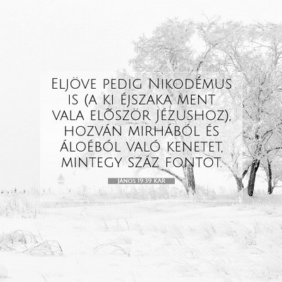 Picture 07 - János 19:39 KAR - Eljöve pedig Nikodémus is (a ki éjszaka ment - Bible Verse Picture
