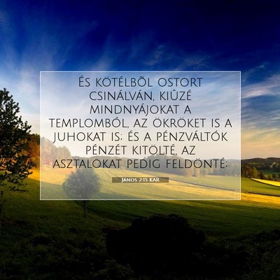Picture 07 - János 2:15 KAR - És kötélbõl ostort csinálván, kiûzé - Bible Verse Picture