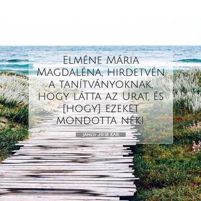 Picture 07 - János 20:18 KAR - Elméne Mária Magdaléna, hirdetvén a - Bible Verse Picture