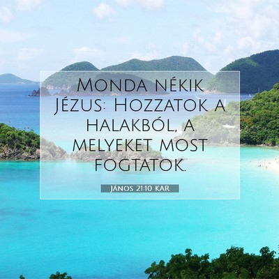 Picture 07 - János 21:10 KAR - Monda nékik Jézus: Hozzatok a halakból, a - Bible Verse Picture