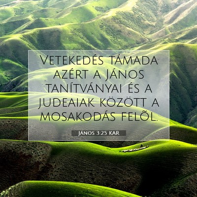 Picture 07 - János 3:25 KAR - Vetekedés támada azért a János tanítványai - Bible Verse Picture