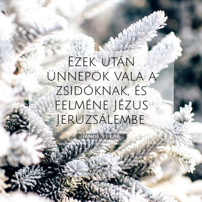 Picture 07 - János 5:1 KAR - Ezek után ünnepök vala a zsidóknak, és - Bible Verse Picture