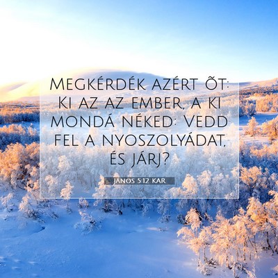 Picture 07 - János 5:12 KAR - Megkérdék azért õt: Ki az az ember, a ki - Bible Verse Picture