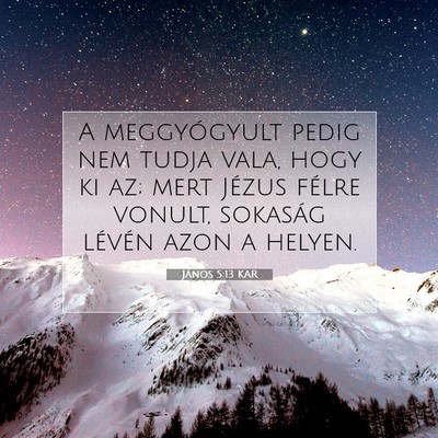 Picture 07 - János 5:13 KAR - A meggyógyult pedig nem tudja vala, hogy ki az; - Bible Verse Picture
