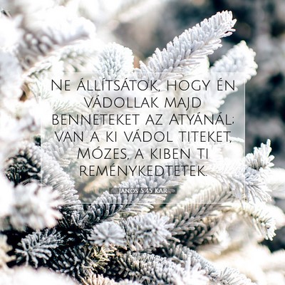 Picture 07 - János 5:45 KAR - Ne állítsátok, hogy én vádollak majd - Bible Verse Picture