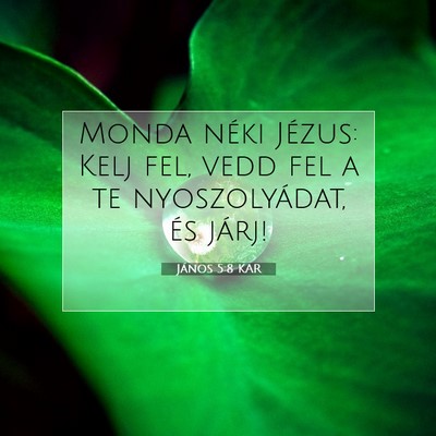 Picture 07 - János 5:8 KAR - Monda néki Jézus: Kelj fel, vedd fel a te - Bible Verse Picture