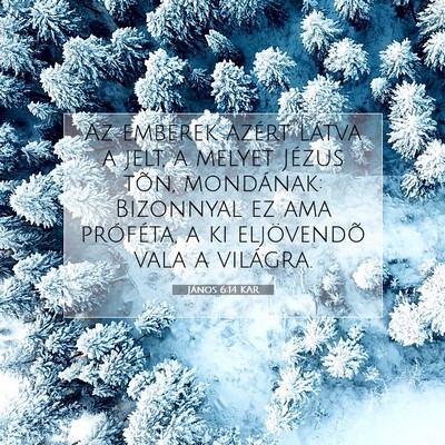 Picture 07 - János 6:14 KAR - Az emberek azért látva a jelt, a melyet Jézus - Bible Verse Picture