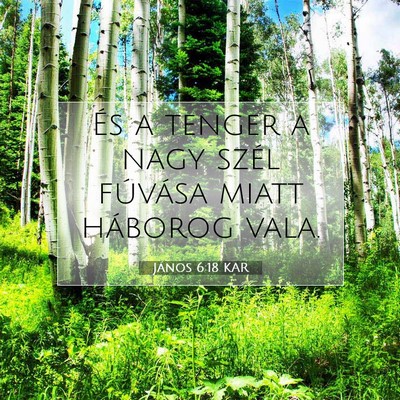 Picture 07 - János 6:18 KAR - És a tenger a nagy szél fúvása miatt háborog - Bible Verse Picture
