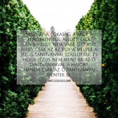 Picture 07 - János 6:22 KAR - Másnap a sokaság, a mely a tengeren túl - Bible Verse Picture