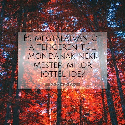 Picture 07 - János 6:25 KAR - És megtalálván õt a tengeren túl, mondának - Bible Verse Picture