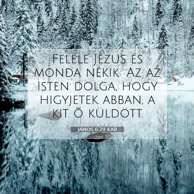 Picture 07 - János 6:29 KAR - Felele Jézus és monda nékik: Az az Isten - Bible Verse Picture