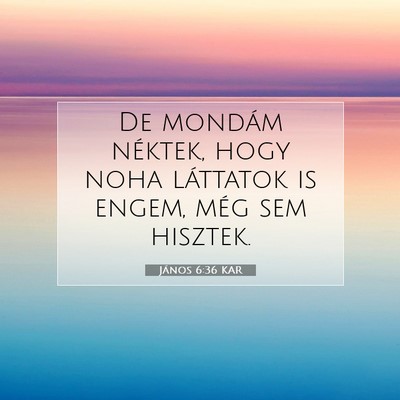 Picture 07 - János 6:36 KAR - De mondám néktek, hogy noha láttatok is engem, - Bible Verse Picture