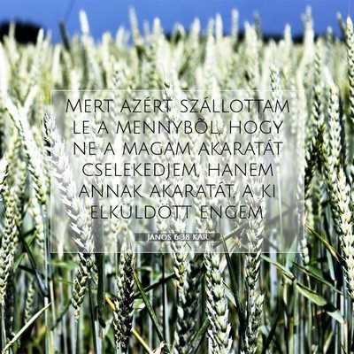 Picture 07 - János 6:38 KAR - Mert azért szállottam le a mennybõl, hogy ne a - Bible Verse Picture