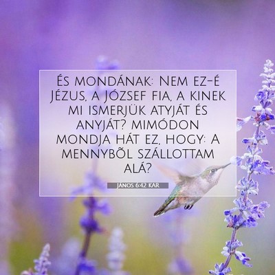 Picture 07 - János 6:42 KAR - És mondának: Nem ez-é Jézus, a József fia, a - Bible Verse Picture