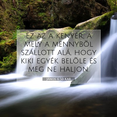 Picture 07 - János 6:50 KAR - Ez az a kenyér, a mely a mennybõl szállott - Bible Verse Picture