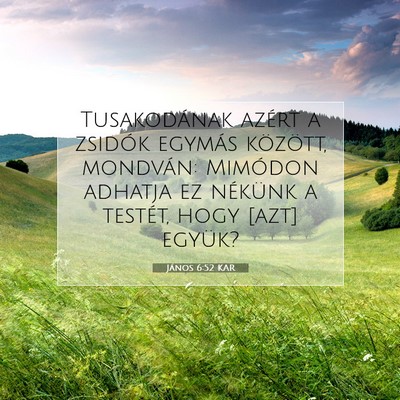 Picture 07 - János 6:52 KAR - Tusakodának azért a zsidók egymás között, - Bible Verse Picture